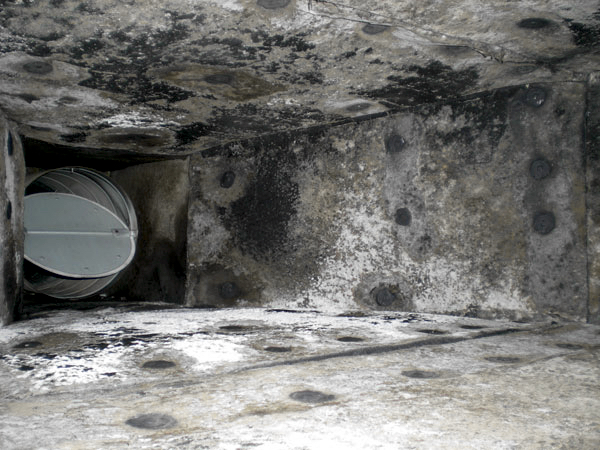 Mold in ductwork